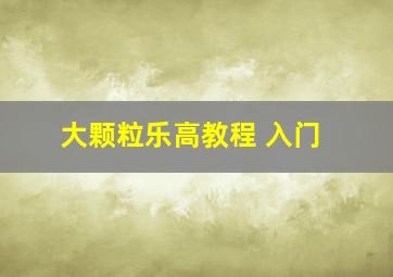 大颗粒乐高教程 入门